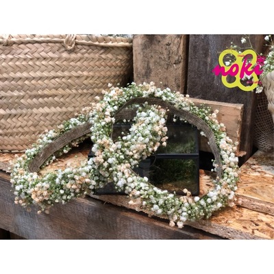 CORONAS DE PANICULATA