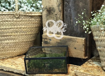 CAJA ANILLOS CON MUSGO PRESERVADO