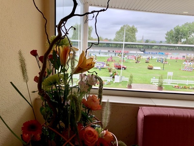 DECORACION CONCURSO HIPICO INTERNACIONAL DE GIJON