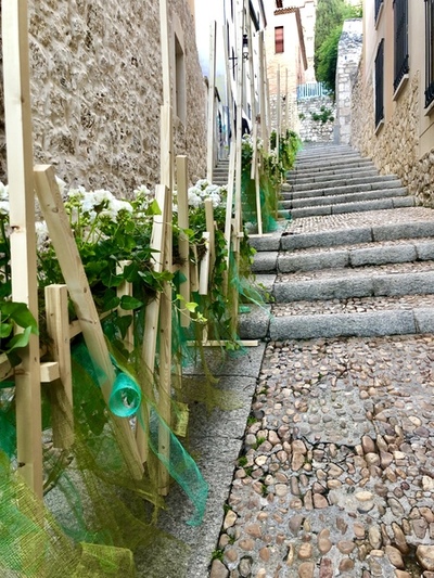 FIESTA DE LAS FLORES DE BURGOS