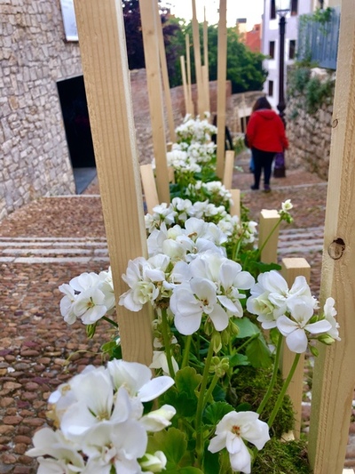 FIESTA DE LAS FLORES DE BURGOS