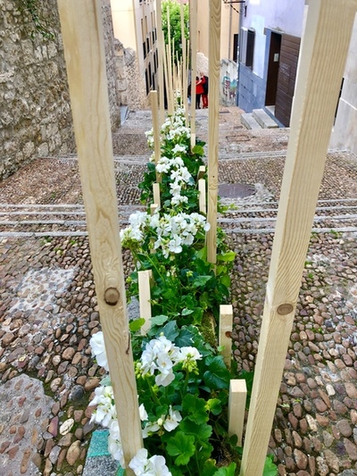 FIESTA DE LAS FLORES DE BURGOS