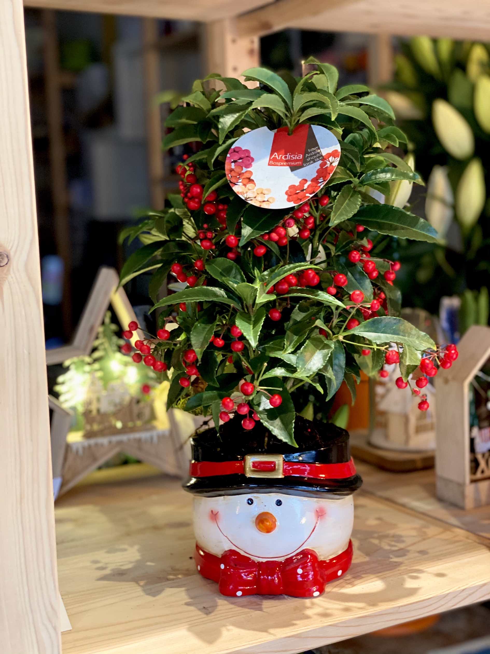 Maceta De Hortensia, Plástico, Pequeña, 13,5cm