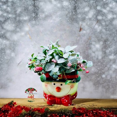  CABEZA MUÑECO NIEVE CON PLANTA DE GAULTHERIA