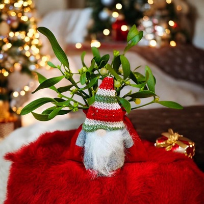  DUENDE DEL MUÉRDAGO, CARGADO DE SUERTE