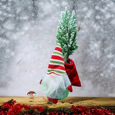  DUENDE NAVIDEÑO CON PLANTA NATURAL