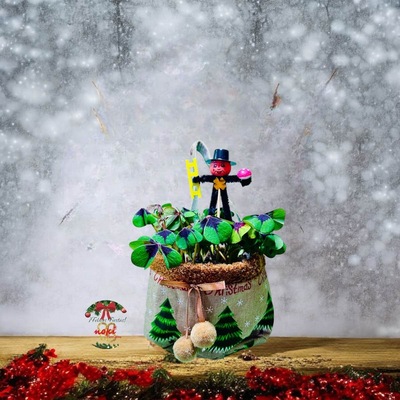 BOLSITA NAVIDEÑA CON PLANTA DE LA SUERTE (OXALIS, Trébol de cuatro hojas)