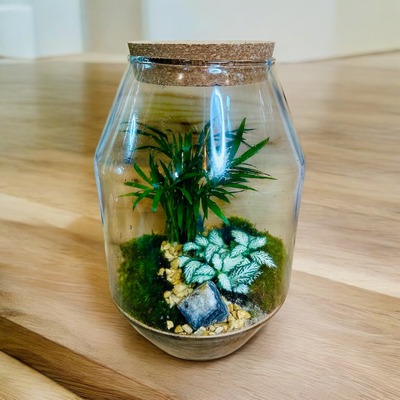 TERRARIUM CON CALATHEAS Y FITTONIAS