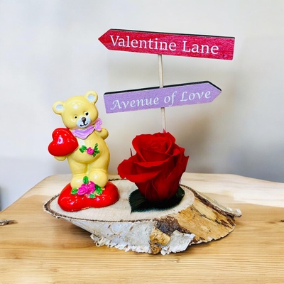 ROSA PRESERVADA CON OSITO AMOROSO SOBRE CORTEZA