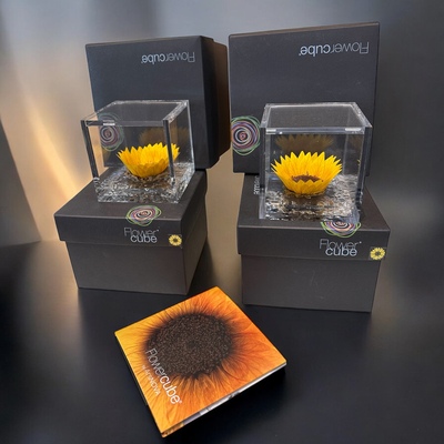 GIRASOLES PRESERVADOS PERFUMADOS FLOWER CUBE