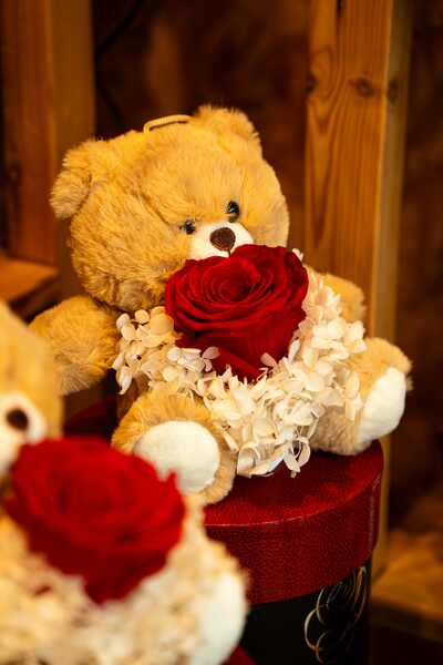 OSITO DE PELUCHE EN CAJA CON ROSA Y HORTENSIA PRESERVADA