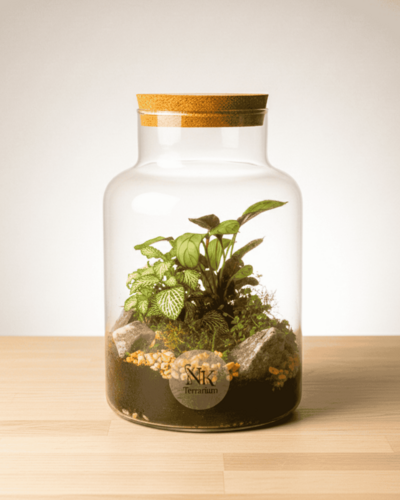 TERRARIO VERDANT HOLLOW