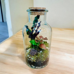 TERRARIUM  BOTE