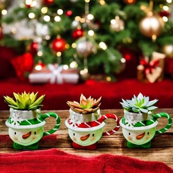 TAZA MUÑECO DE NIEVE CON ECHAVERIA