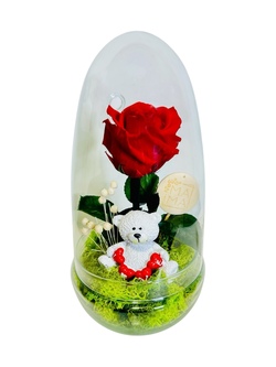 CÚPULA DE CRISTAL CON ROSA Y MUSGO PRESERVADOS 