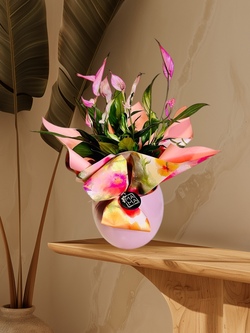  SPATIFILIUM ROSA EN MACETA DE CERÁMICA DECORATIVA