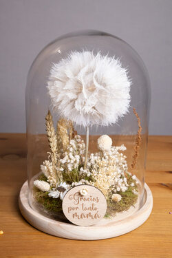   CÚPULA DE CRISTAL CON DIENTE DE LEÓN (DANDELIÓN)PRESERVADO