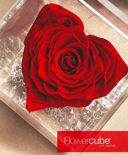   ROSA PRESERVADA CON FORMA DE CORAZÓN PERFUMADA