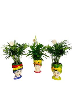 FIGURA DE CERAMICA CON PLANTA NATURAL