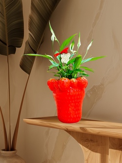  SPATIFILIUM EN MACETA DE FRESAS