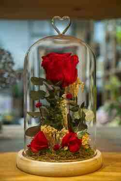 ROSA PRESERVADA EN CÚPULA CORAZÓN DE CRISTAL