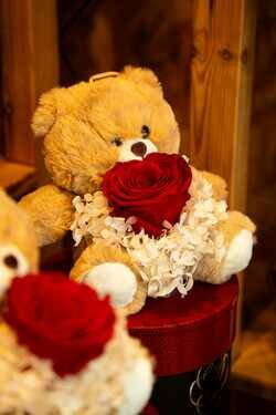 OSITO DE PELUCHE EN CAJA CON ROSA Y HORTENSIA PRESERVADA