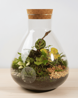 TERRARIO AMBER PULSE