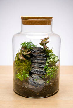 TERRARIO PATH OF NATURE