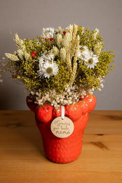 FRESON CON FLORES SECAS