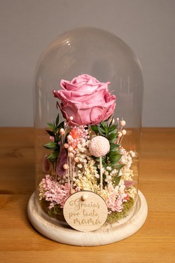 CÚPULA GRANDE TRABAJADA CON MATERIALES PRESERVADOS Y SECOS